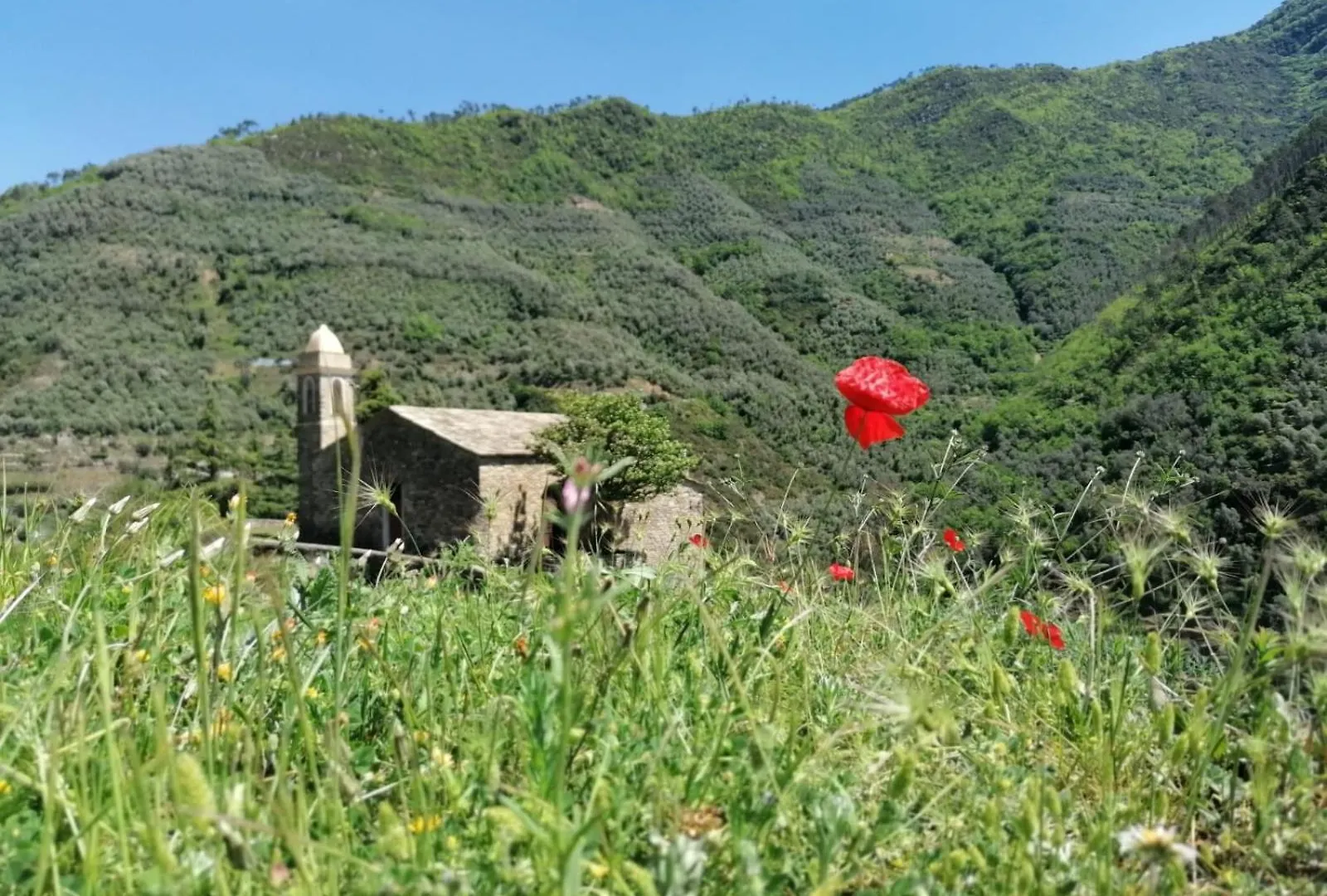 La Casa Di Colombetta Apartment Badalucco